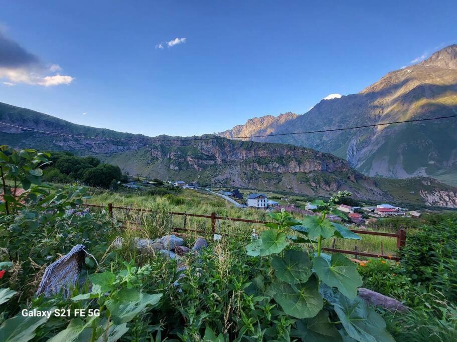 Peak House Villa Kazbegi Ngoại thất bức ảnh