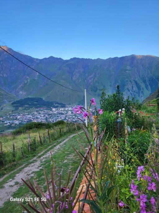Peak House Villa Kazbegi Ngoại thất bức ảnh